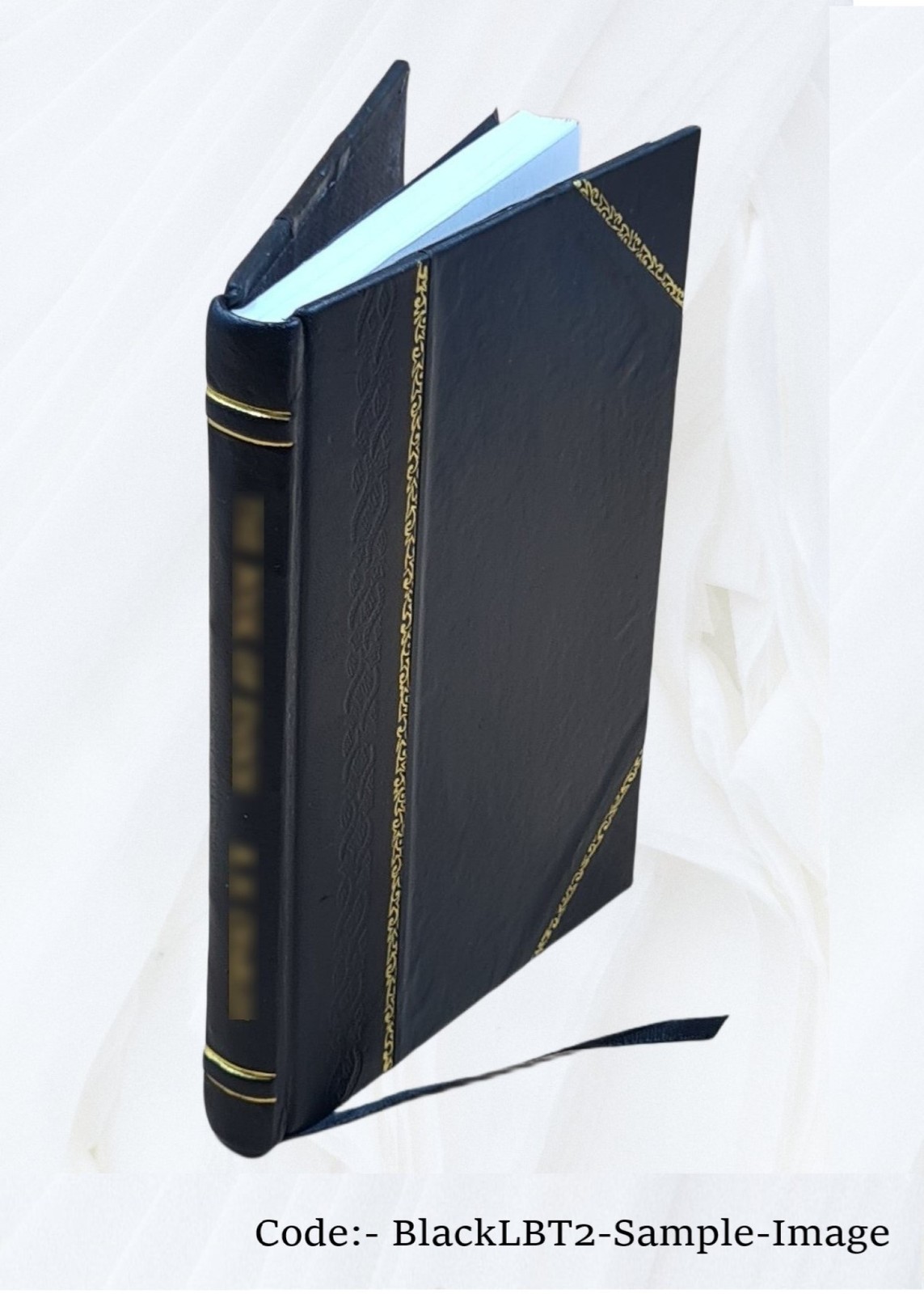 Rudra-S?iva 1941 by N Venkata Ramanayya [Leather Bound]