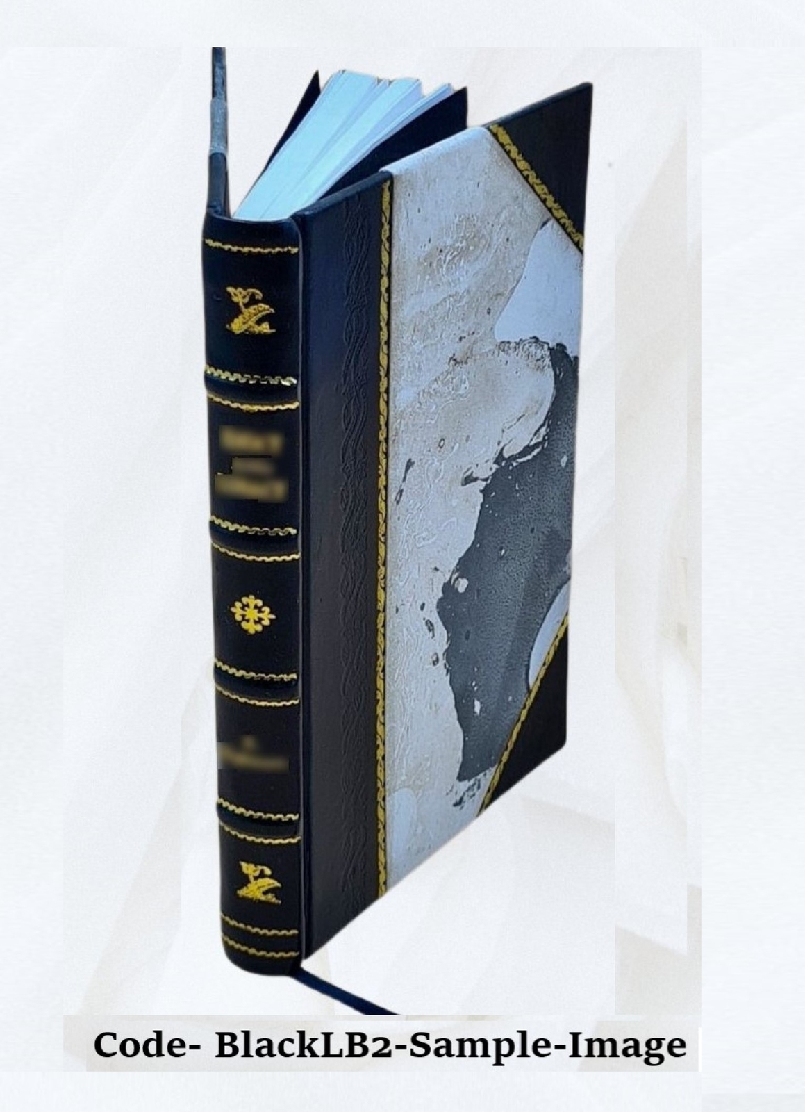 Ardha-Magadhi Reader 1923 By Banarsi Das Jain [Leather Bound]